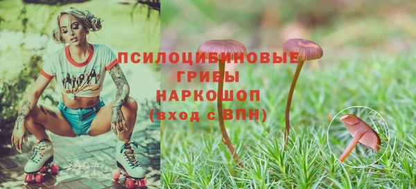 прущая мука Козловка