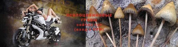 хмурый Козельск
